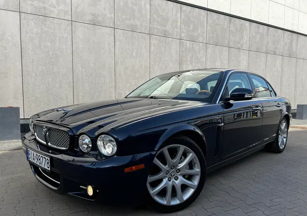 jaguar białystok Jaguar XJ cena 65900 przebieg: 87373, rok produkcji 2008 z Białystok